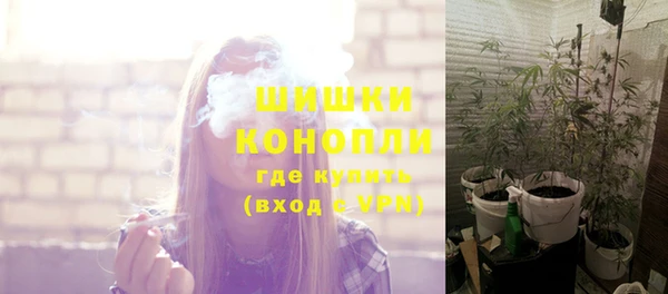спайс Новодвинск