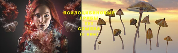 скорость Новозыбков