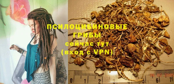 скорость Новозыбков