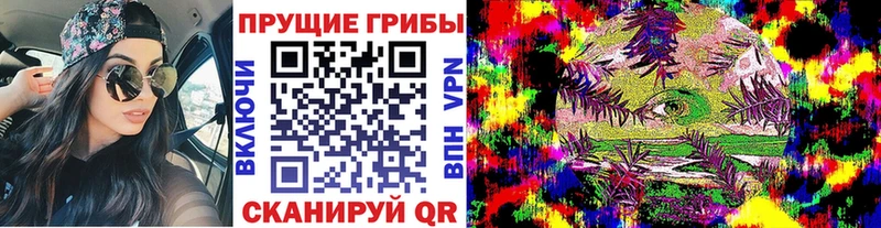 наркошоп  Наволоки  Псилоцибиновые грибы MAGIC MUSHROOMS 