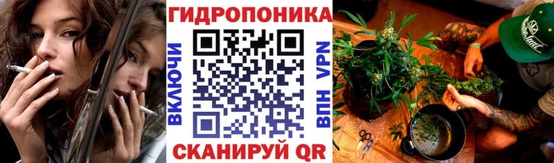 Конопля планчик Наволоки